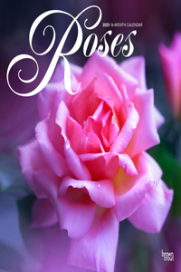 Roses 2025 12 X 24 Inch Monthly Square Wall Calendar Plastic-Free