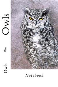 Owls