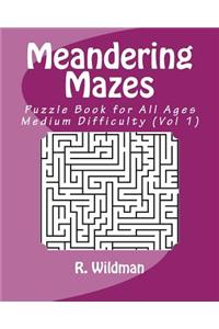 Meandering Mazes