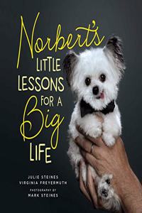 Norbert's Little Lessons for a Big Life