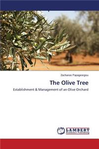 Olive Tree