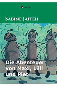 Abenteuer von Maxi, Lilli und Piet