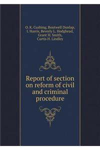 Report of section on reform of civil and criminal procedure