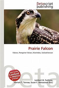 Prairie Falcon