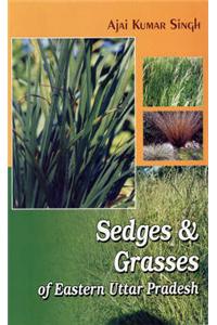 Sedges and Grasses: of Eastern Uttar Pradesh