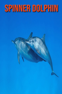 Spinner Dolphin