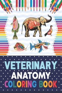 Veterinary Anatomy Coloring Book