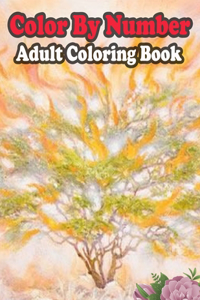 Color By Number Adult Coloring Book