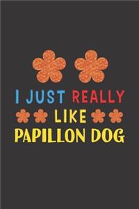 I Just Really Like Papillon Dog