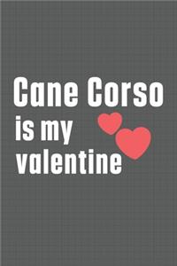 Cane Corso is my valentine