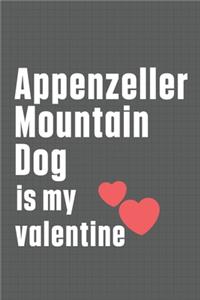 Appenzeller Mountain Dog is my valentine
