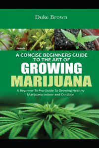 A Concise Beginners Guide to the Art of Growing Marijuana Indoor