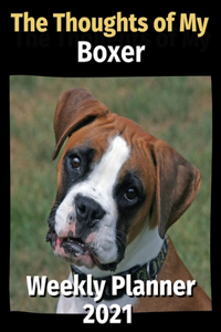 Thoughts of My Boxer