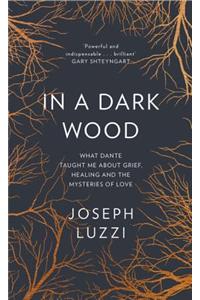 In a Dark Wood