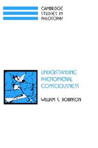 Understanding Phenomenal Consciousness
