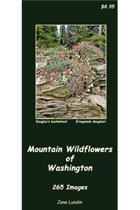 Mountain Wildflowers of Washington