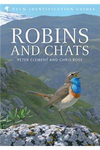 Robins and Chats