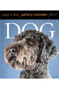 Dog Gallery 2017 Calendar