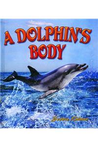 A Dolphin's Body