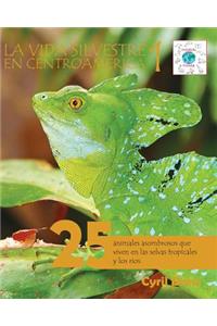 La vida silvestre en Centroamerica 1