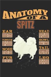 Anatomy Of A Spitz