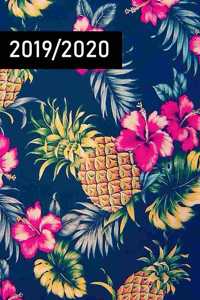 2019/2020