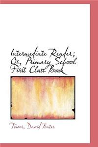 Intermediate Reader; Or, Primary School First Class Book