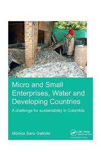 Micro and Small Enterprises, Water and Developing Countries