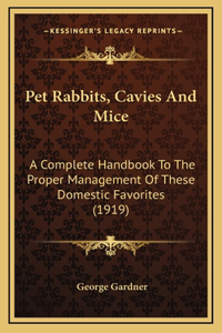 Pet Rabbits, Cavies And Mice