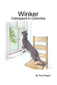 Winker - Catnapped in Colombia