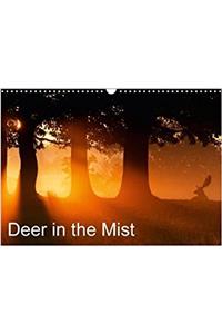 Deer in the Mist 2018