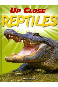 Reptiles