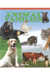 Animal Families