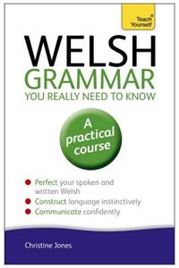 Welsh Grammar You Really Need to Know: Teach Yourself