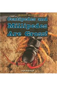 Centipedes and Millipedes Are Gross!