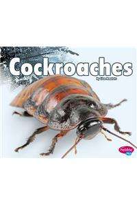 Cockroaches