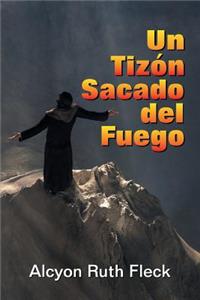 Un Tizon Sacado Del Fuego