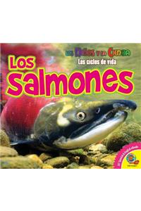 Los Salmones
