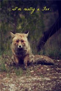 I'm Really a Fox Journal