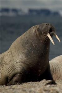 Walrus Notebook & Journal. Productivity Work Planner & Idea Notepad