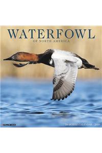 Waterfowl 2019 Wall Calendar