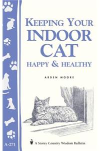 Keeping Your Indoor Cat Happy & Healthy