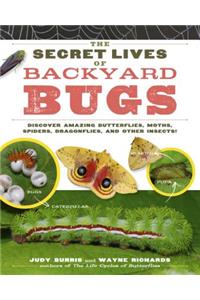 The Secret Lives of Backyard Bugs