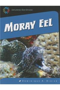 Moray Eel