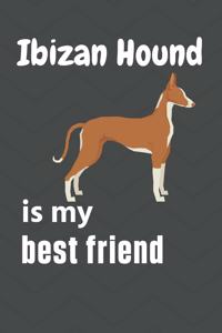 Ibizan Hound is my best friend