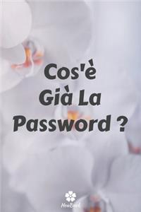 Cos'è Già La Password ?