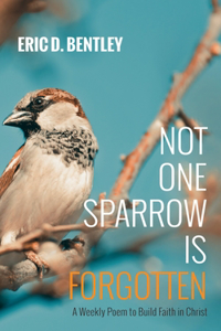 Not One Sparrow Is Forgotten