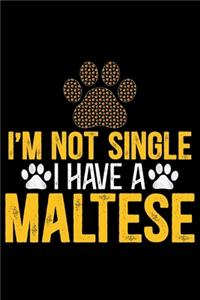I'm Not Single I Have a Maltese