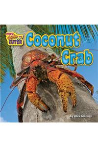 Coconut Crab
