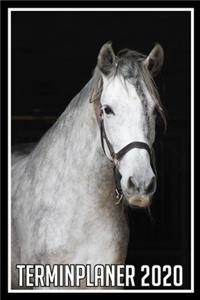 Terminplaner 2020